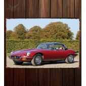 Металлическая табличка Jaguar E-Type V12 Open Two Seater (Series III) 342